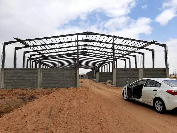 صورة المقال